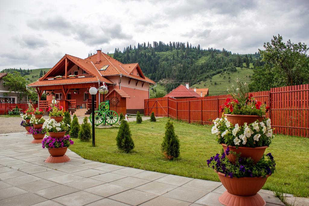 Bed and Breakfast Picnic Panzio Lunca de Sus Zewnętrze zdjęcie