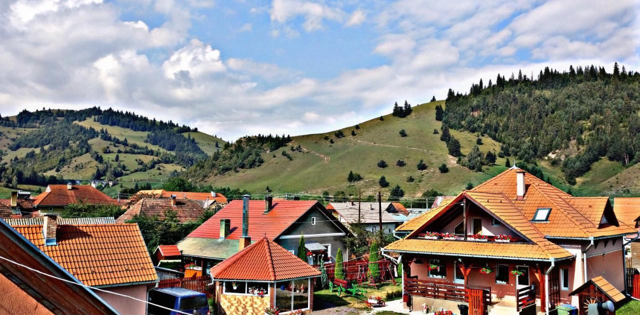 Bed and Breakfast Picnic Panzio Lunca de Sus Zewnętrze zdjęcie