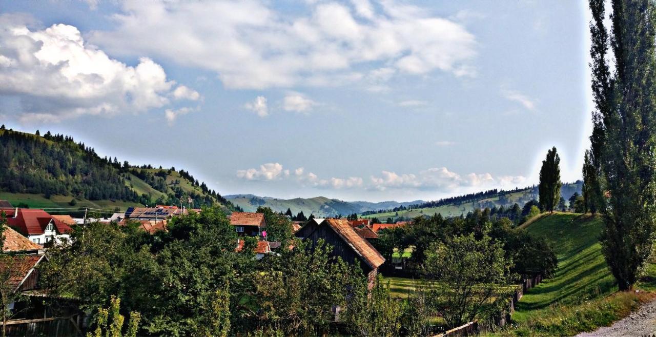 Bed and Breakfast Picnic Panzio Lunca de Sus Zewnętrze zdjęcie