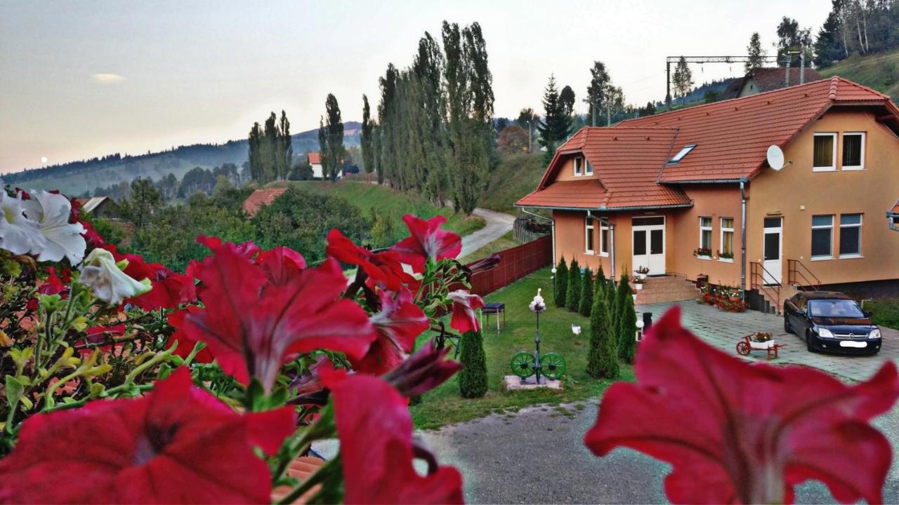 Bed and Breakfast Picnic Panzio Lunca de Sus Zewnętrze zdjęcie