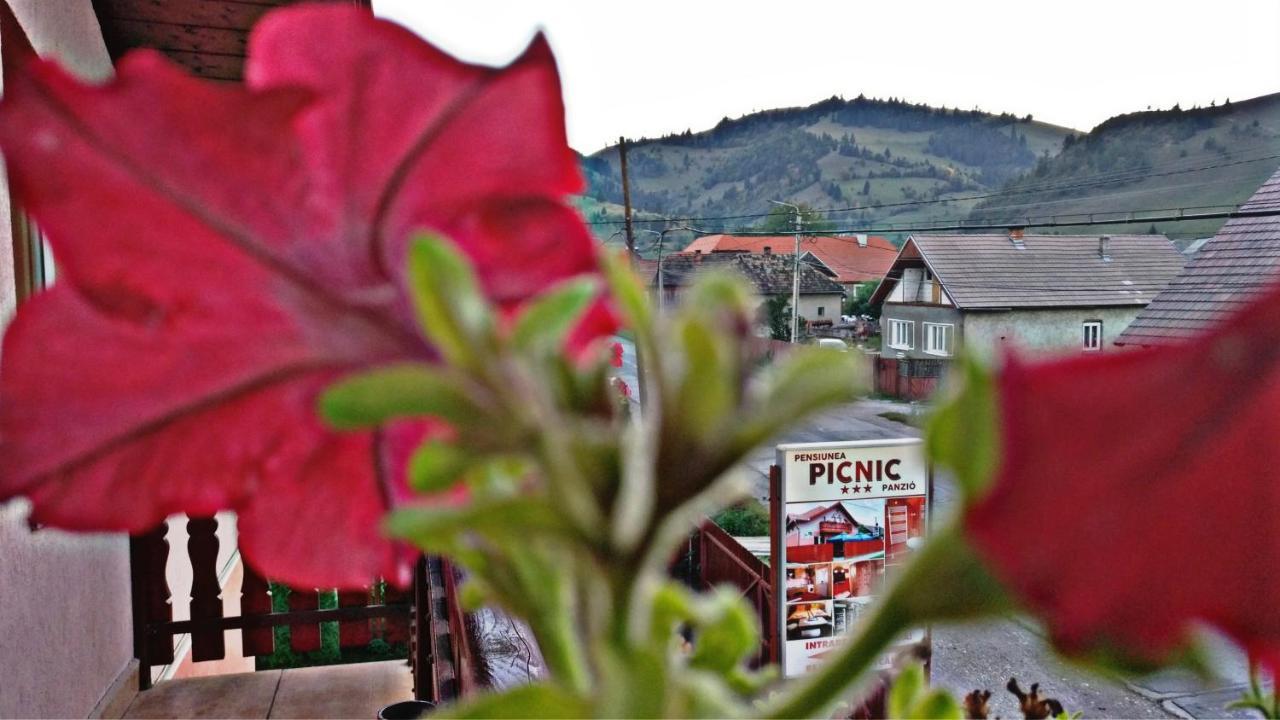 Bed and Breakfast Picnic Panzio Lunca de Sus Zewnętrze zdjęcie